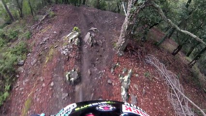 pineda rocs 2016 tc1