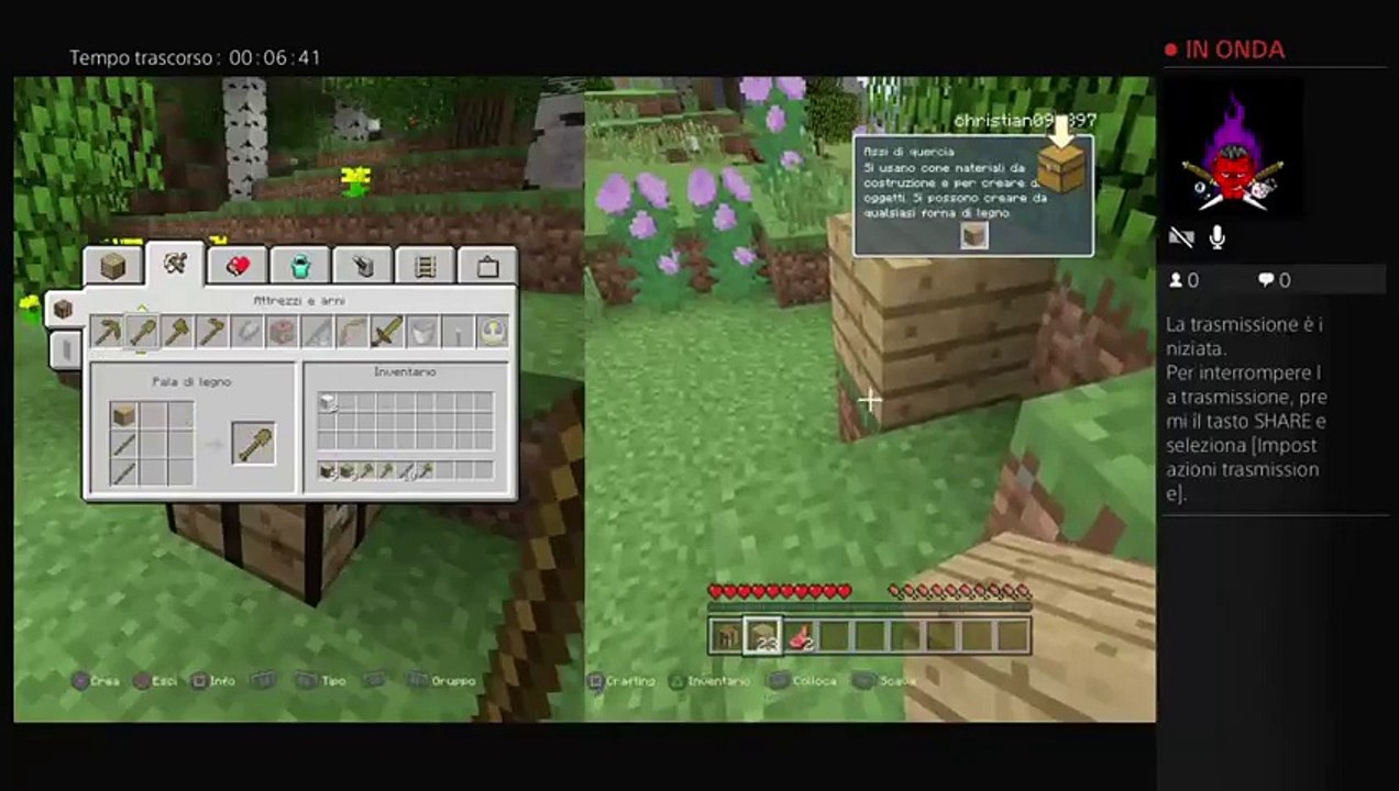 Minecraft con il nostro compagno (28)