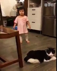Un chat fait un croche-patte