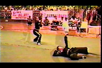 Snake Fist - Short Presentation - Helen Liang