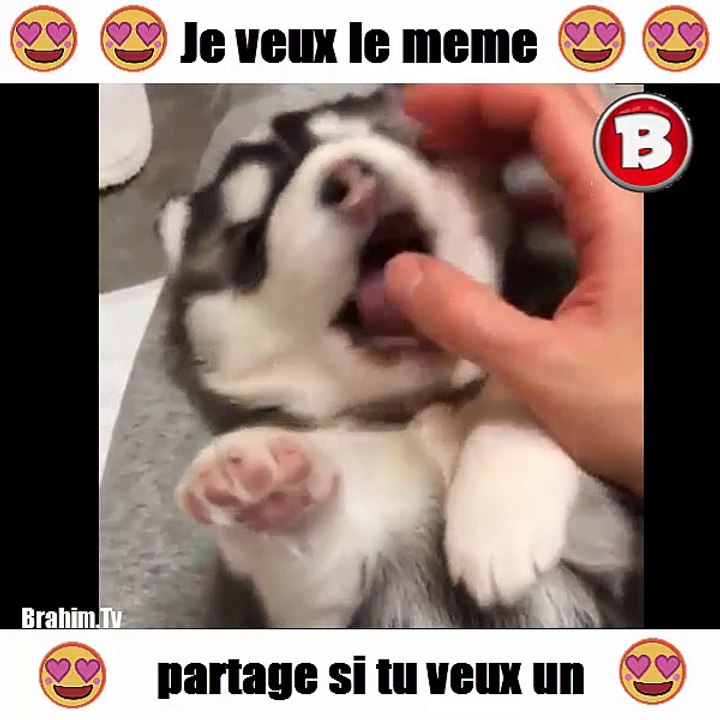 je veux le meme partage si tu veux un