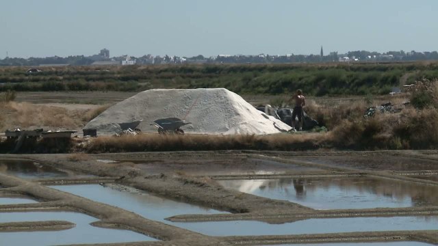 Les marais salants de Guérande