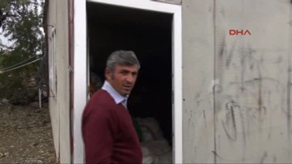 Van'da Başıboş Köpek Dehşeti