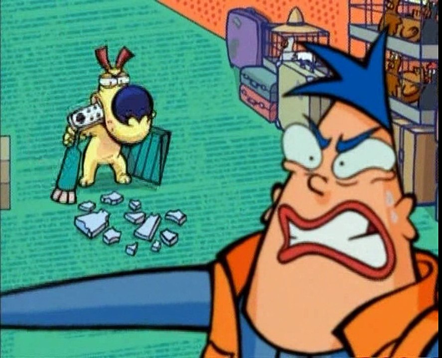 17