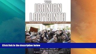 Must Have PDF  The Iranian Labyrinth: Journeys Through Theocratic Iran and Its Furies  Best Seller