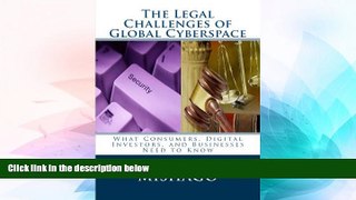 Must Have  The Legal Challenges of Global Cyberspace: Why National Regulations Fail to Protect