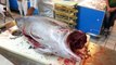 Tuna Processing - Whole fish