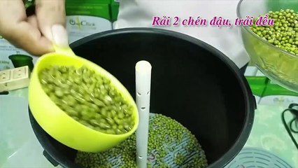 Hướng dẫn làm giá đỗ bằng máy làm giá đỗ OneClick