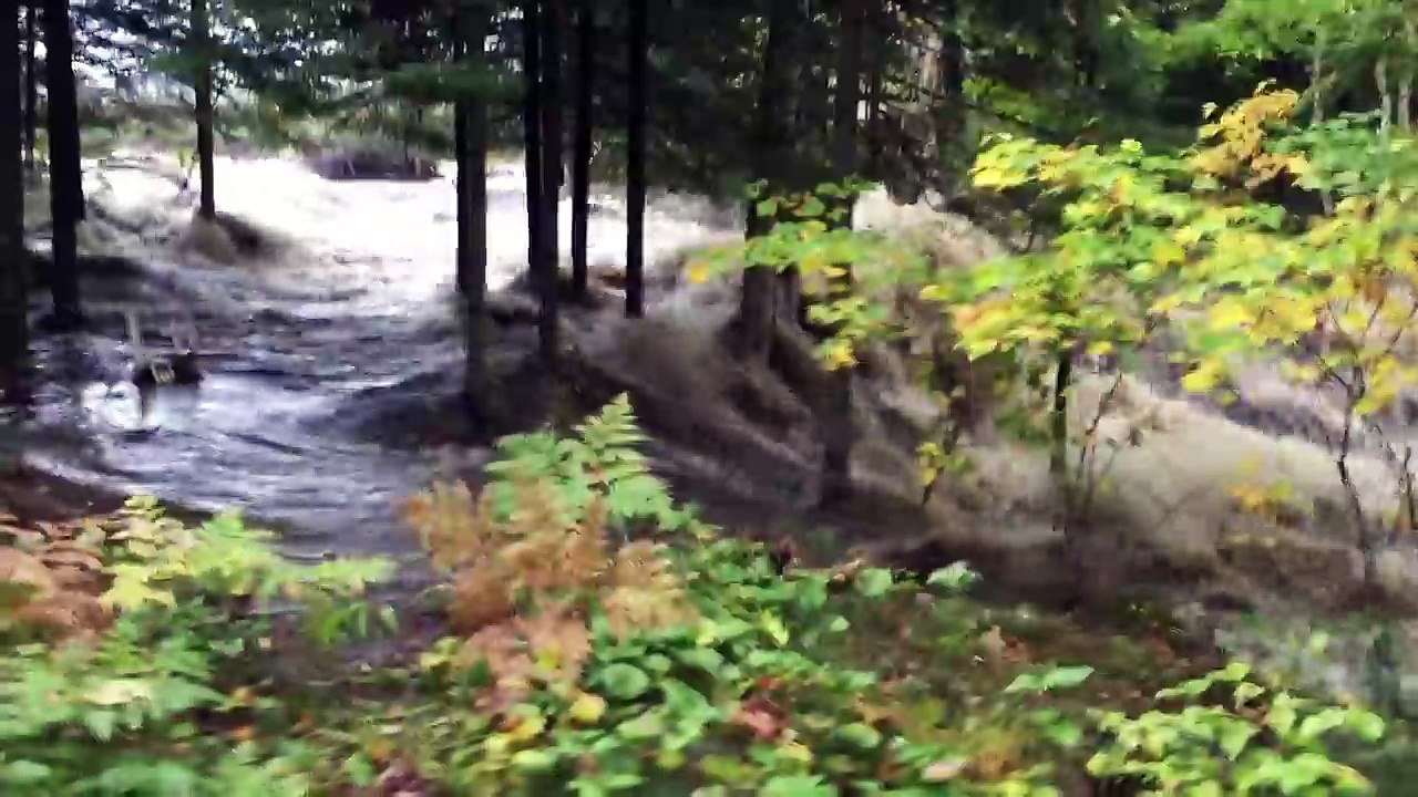 Des castors construisent un barrage qui finit par céder.