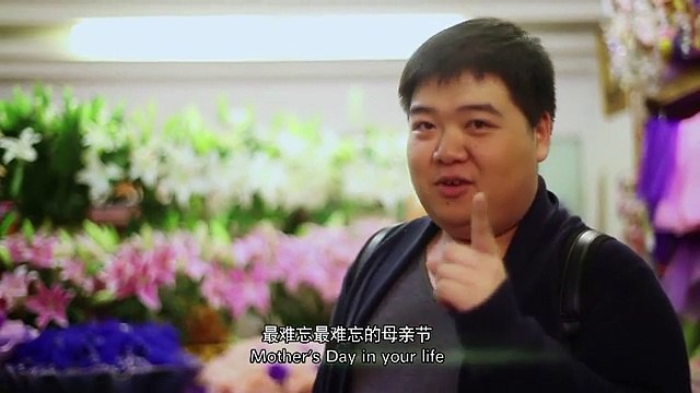 Carnations 致康乃馨