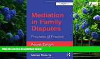 Big Deals  Mediation in Family Disputes: Principles of Practice  Full Ebooks Best Seller