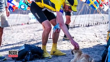 Questo cane segue un atleta per 100 km. Alla fine della maratona saranno inseparabili!