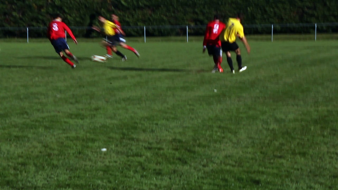 ASLB1-ASCV1