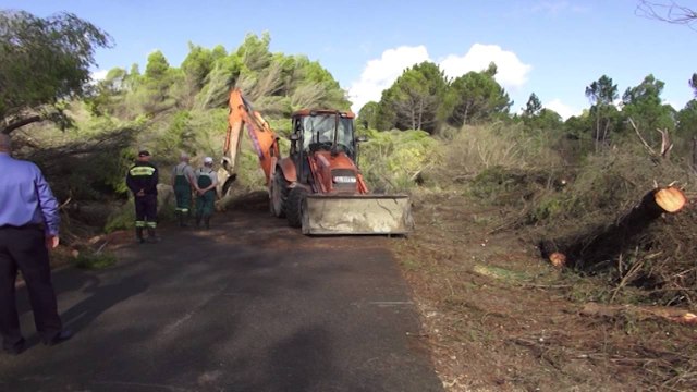 360° Gradë -DISA BIZNESE TE DEMTUARA,THUAJSE PLOTESISHT,BLLOKOHET RRUGA DREJT ZVERNECIT