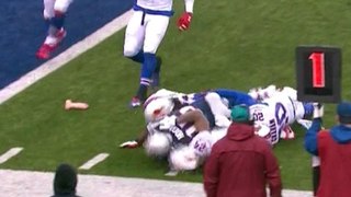 Big dildo on the field during Pats-Bills (Twitter Reactions)