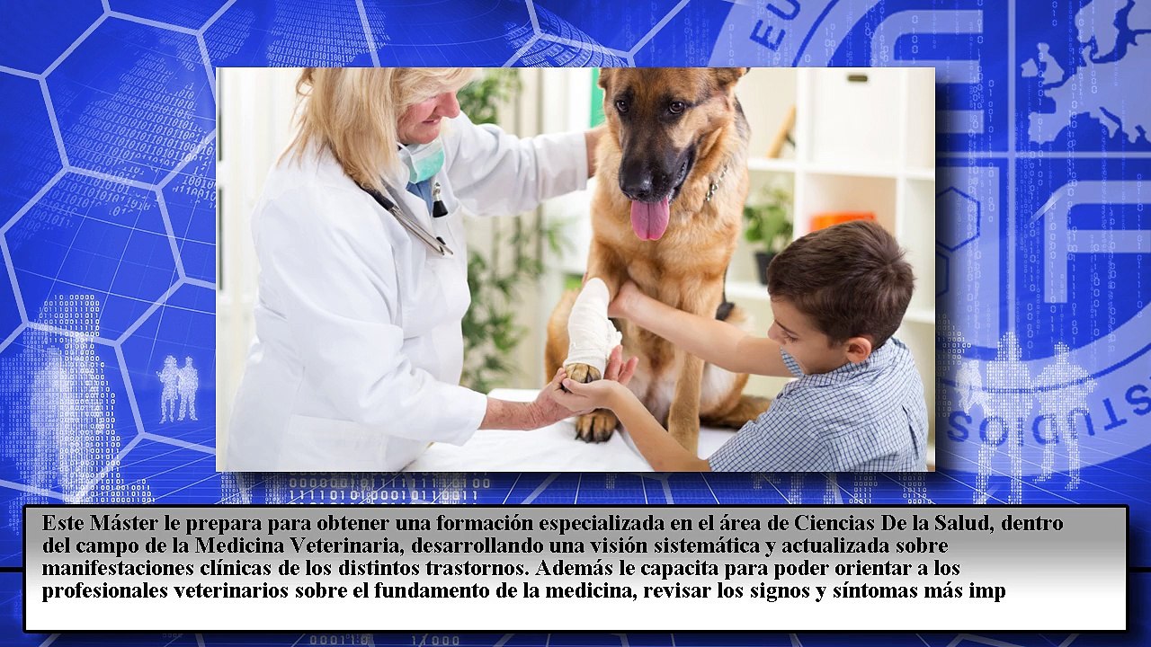 Master Business en Medicina Veterinaria (Online) (Promoción Dooplan-Grupazo)
