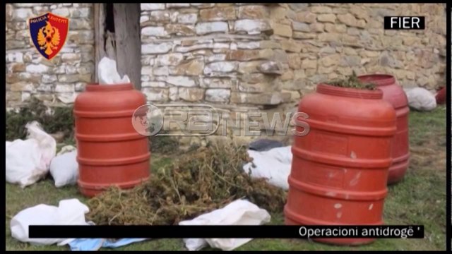 Ora News – Fier, sekuestrohen 343 kg kanabis, arrestohen 11 persona