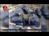 Ora News – Magazinë droge në Mamurras, asgjesohen 1450 kg kanabis