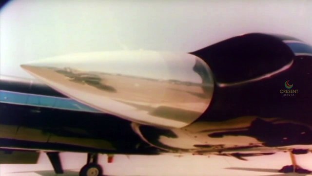 Dead On | Hollywood Romantic Movie | Matt McCoy, Shari Shattuck | Best Hollywood Climax In Tamil