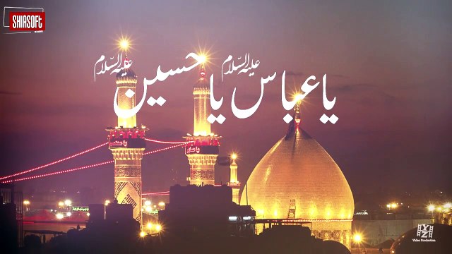 BAWAFA BHAI Mehdi Abbas Zaidi Nohay 2016-17 (Muharrum 1438) HD