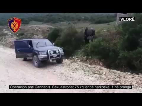 Report TV - Policia Vlorë ka sekuestruar 75 kg lëndë narkotike