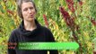 A Mindful Harvest: The Zen of Organic Farming | Conscious Living TV