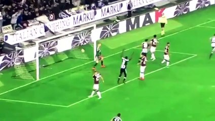 Udinese vs Torino 2- 2 All Goals Highlights 31-10-2016