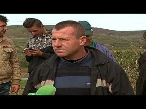 Fermerët e duhanit në Korçë, firmat nuk paguajnë paratë - Top Channel Albania - News - Lajme