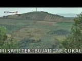 Report TV - Made in Albania gjen vaj ulliri safi! Tek 