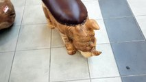Rhino Hand Carved From Solid Suarwood