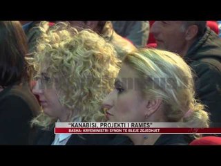 “Kanabisi, projekti i Ramës” - News, Lajme - Vizion Plus