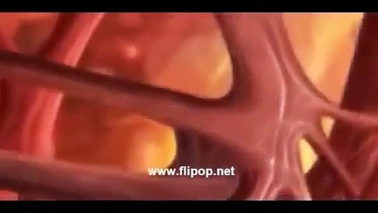 INFIERNO DE DANTE Pelicula Completa Español