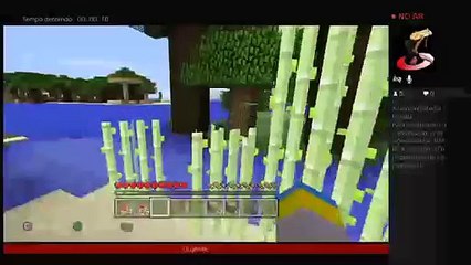 Os dois animais e uma humana (3)