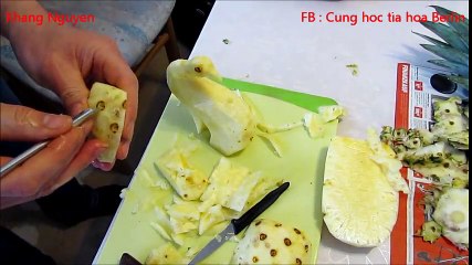 Hướng dẫn cách tỉa con Công từ quả Dứa-Lesson 260 Pruning Peacock Pineapple fruit.
