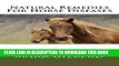 [READ] EBOOK Natural Remedies For Horse Diseases (Natural Remedies For Animals Series) BEST