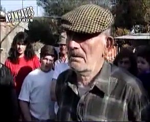 Apanhados TVI