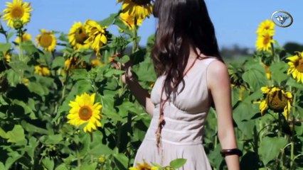 Yalnızca Allah'a kulluk etmek