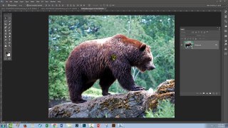 How to Double Exposure Effect in Photoshop - 2