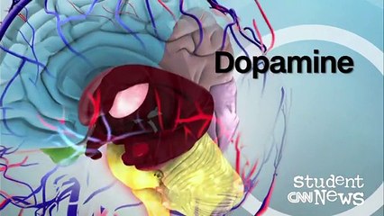 CNN Student News - November 1, 2016 - English Sub