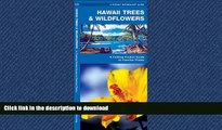 FAVORIT BOOK Hawaii Trees   Wildflowers: A Folding Pocket Guide to Familiar Species (Pocket