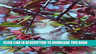 [PDF] When A Feather Appears An Angel Is Near: Journal/Notebook/Diary (Angel Journals) (Volume 2)