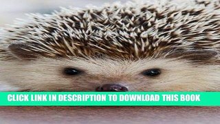 [PDF] S cute Hedgehog Journal: 120 Page, 5x8, Lined Notebook For Hedgie Lovers Popular Online