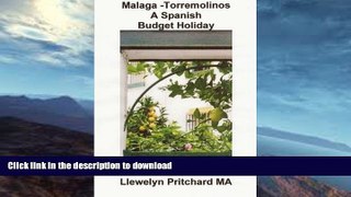 READ BOOK  Malaga -Torremolinos A Spanish Budget Holiday (The Illustrated Diaries of Llewelyn