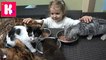 Кошечка Мурка , Катя и Макс едут в Котокафе на кошачью вечеринку Много кошек и котята играют с детками новое видео 2016