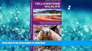 READ THE NEW BOOK Yellowstone Wildlife: A Folding Pocket Guide to Familiar Animals of the