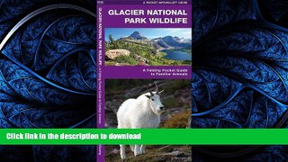 FAVORIT BOOK Glacier National Park Wildlife: A Folding Pocket Guide to Familiar Species (Pocket