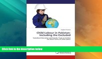 Must Have PDF  Child Labour in Pakistan: Including the Excluded: Subsidized Education and Subsidy: