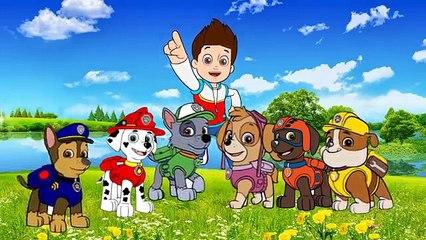 動畫片, Paw Patrol - Finger Family, Cartoons for kids, Finger Family Songs new