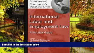 Must Have  International Labor and Employment Law (International Practitioner s Deskbook)  Premium