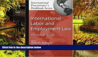 Must Have  International Labor and Employment Law (International Practitioner s Deskbook)  Premium